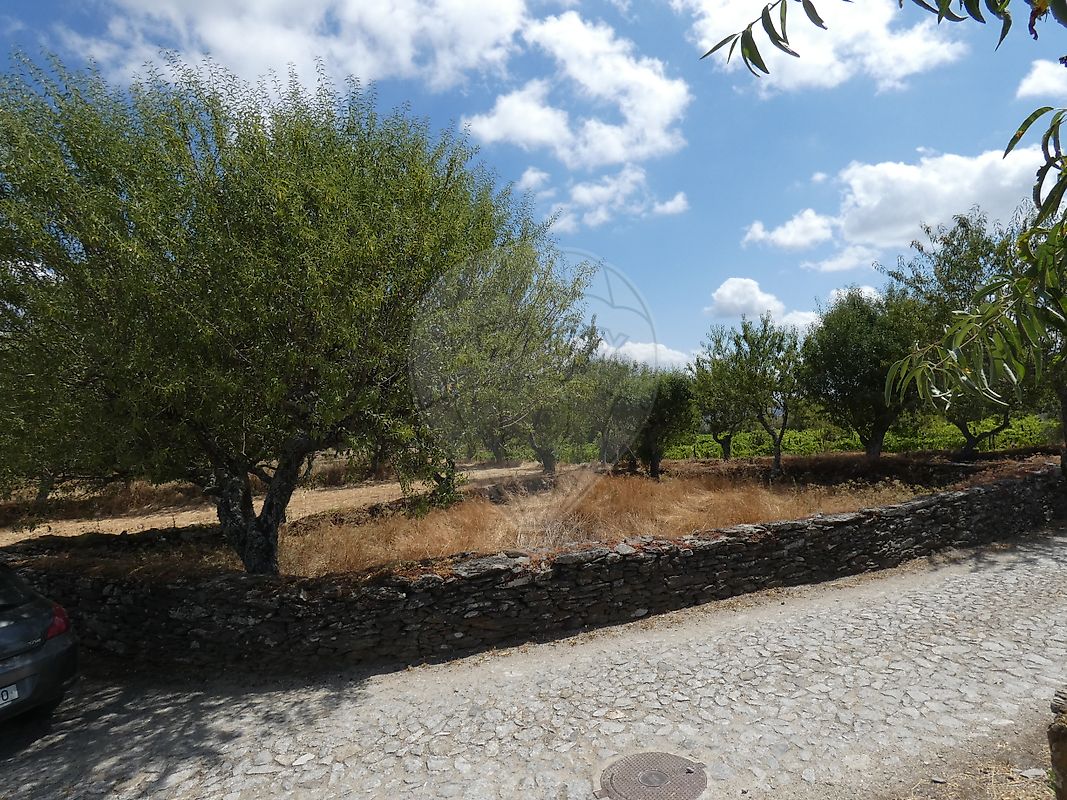Terreno para venda