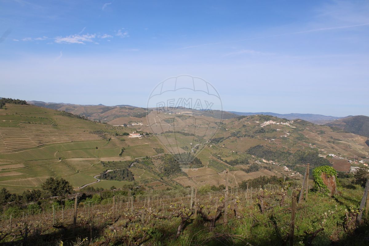 Terreno  para venda
