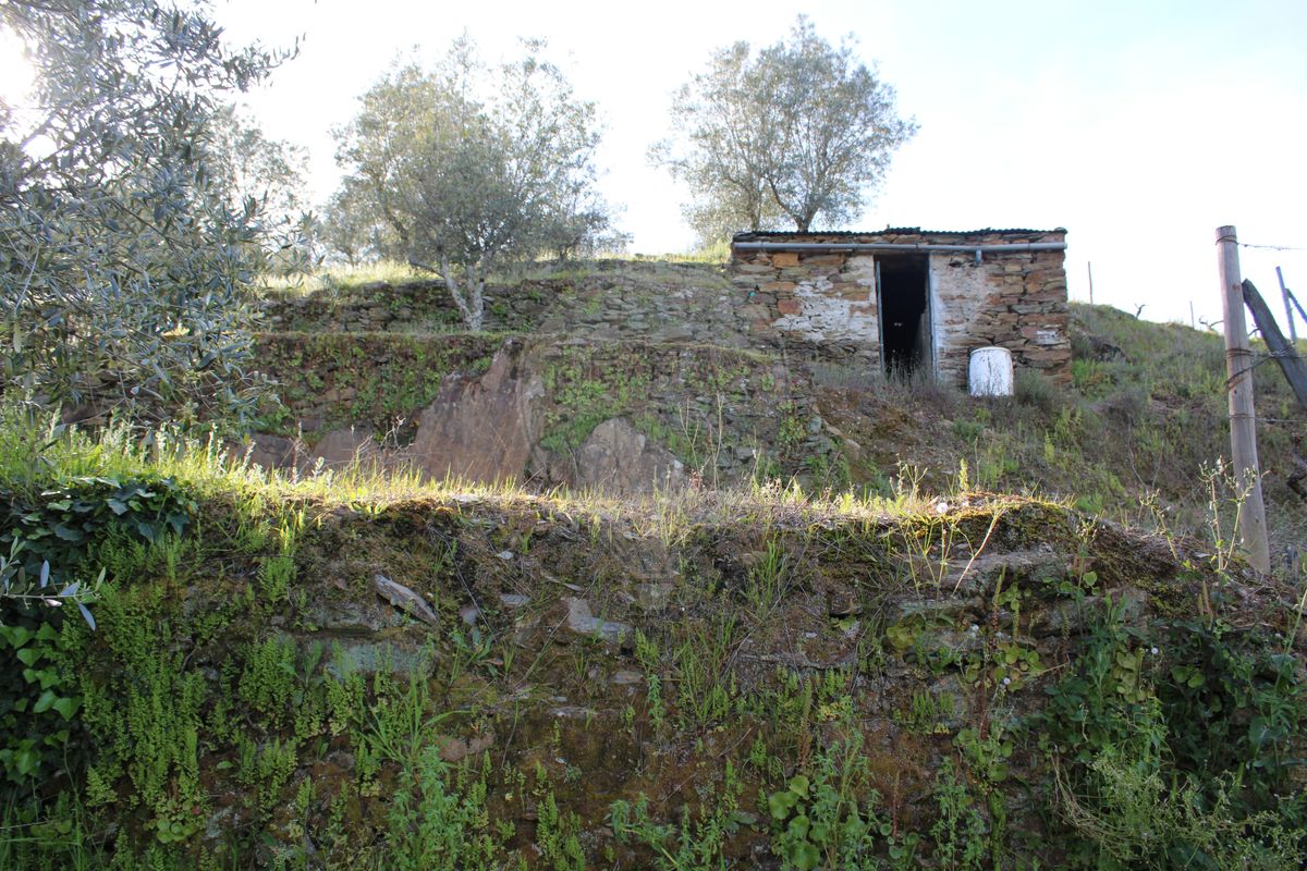 Terreno  para venda