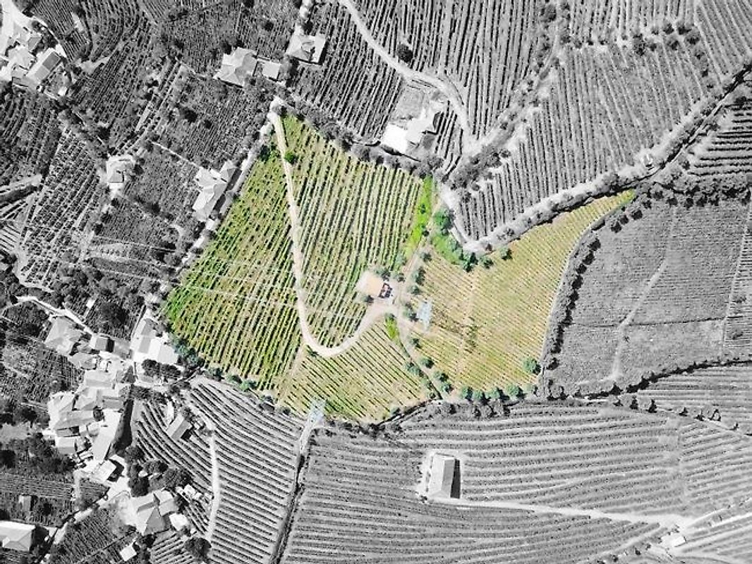 Terreno  para venda