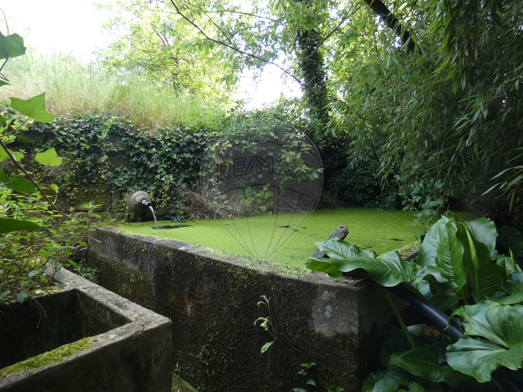 Quinta  para venda