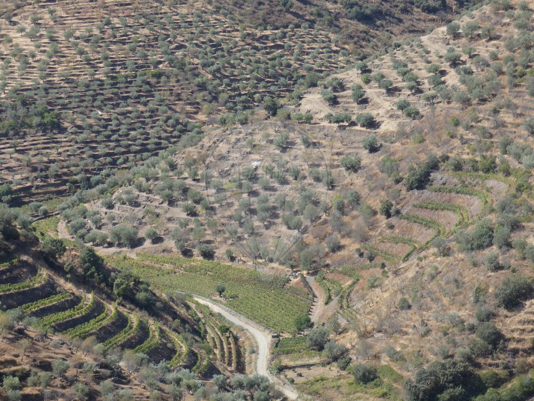 Terreno  para venda