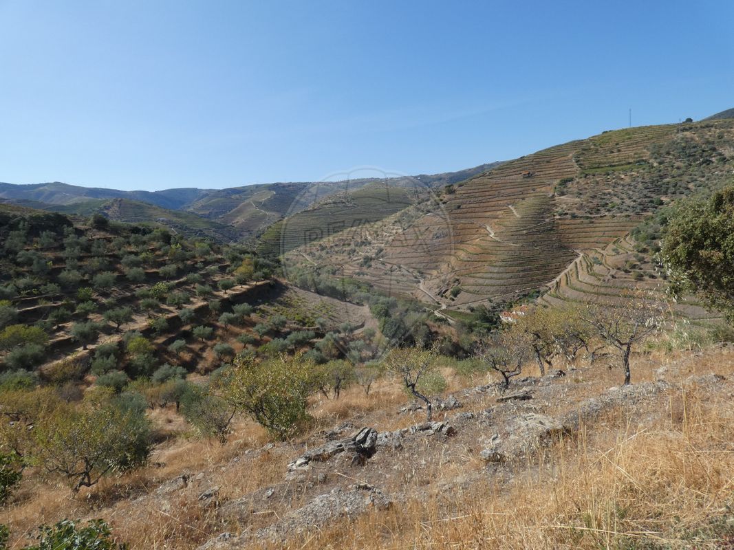 Terreno  para venda