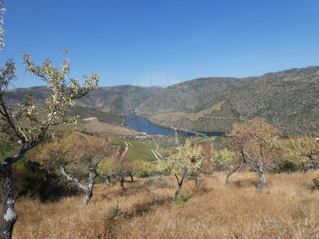 Terreno  para venda