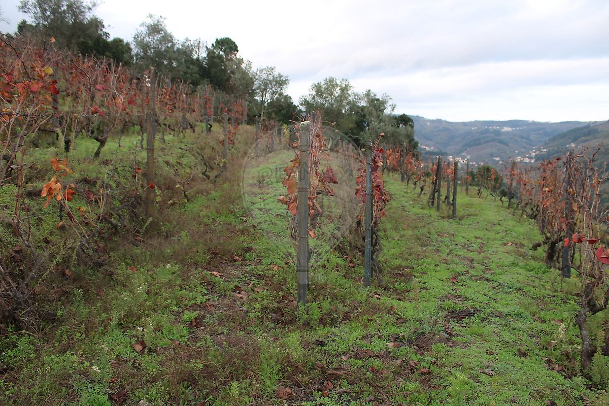 Moradia T2 à venda em Sedielos, Peso da Régua — foto 6