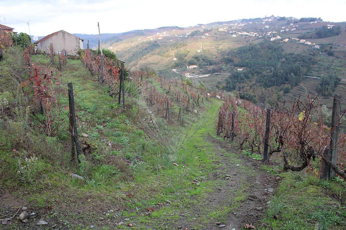 Moradia T2 à venda em Sedielos, Peso da Régua — foto 7