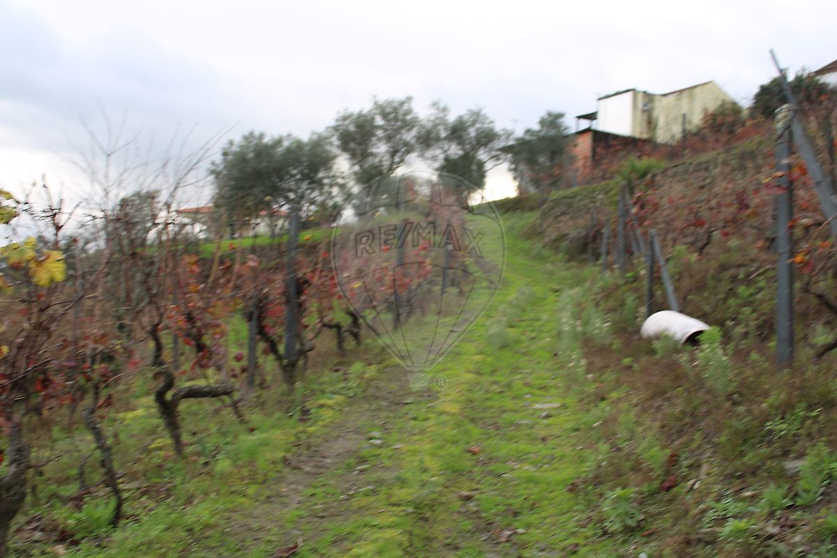 Moradia T2 à venda em Sedielos, Peso da Régua — foto 9