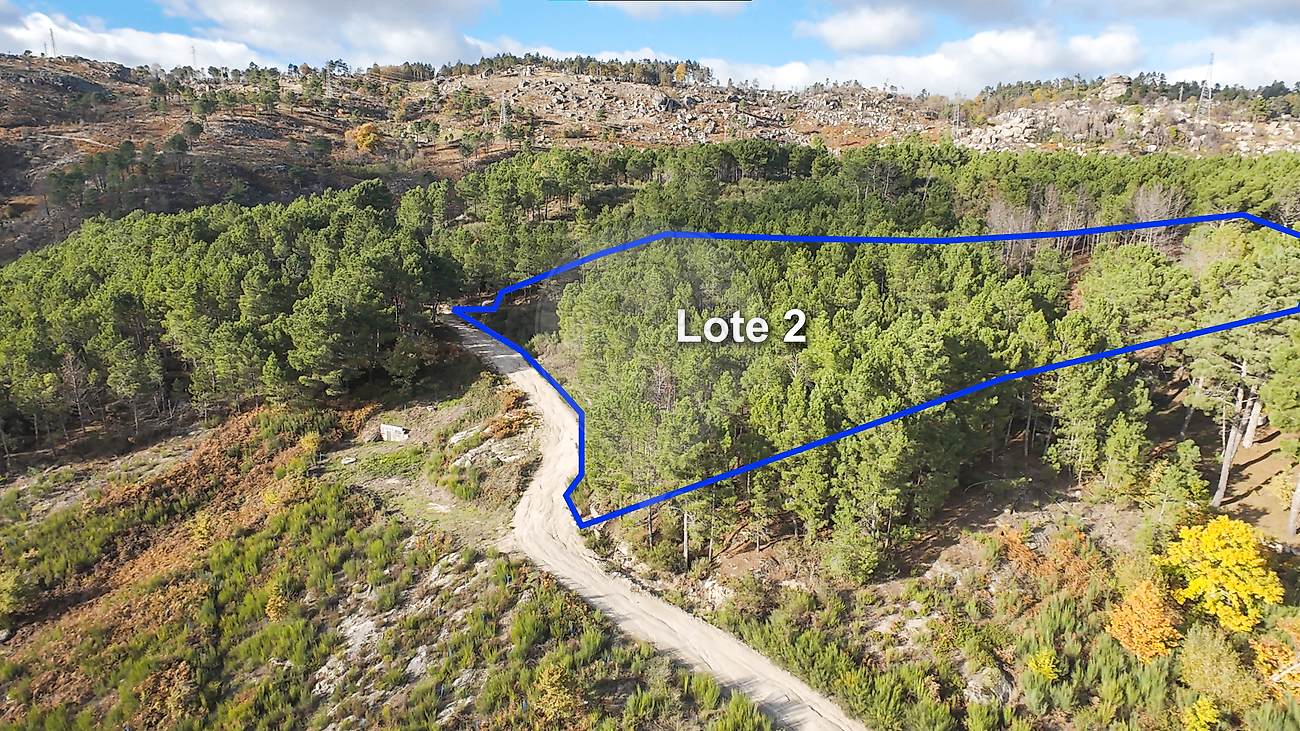Terreno - Telões, Vila Pouca de Aguiar, Vila Real