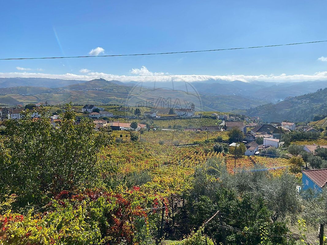 Moradia T2 à venda em Lobrigos (São Miguel e São João Baptista) e Sanhoane, Santa Marta de Penaguião — foto 24