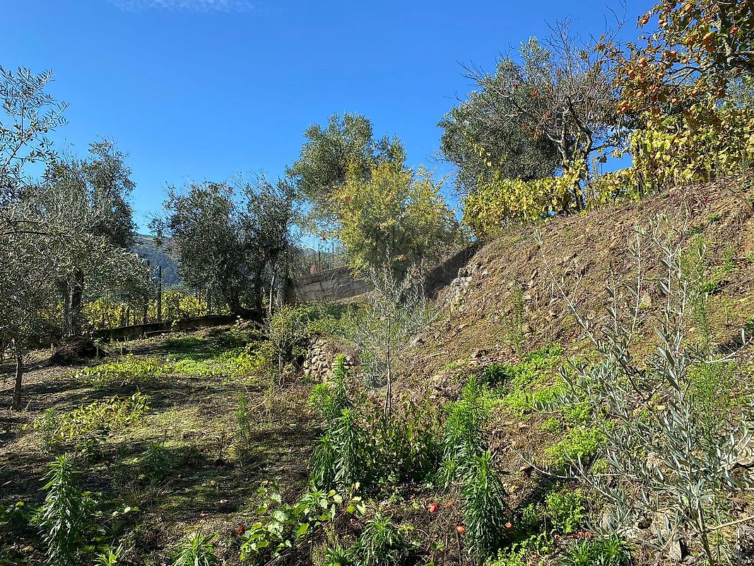 Moradia T2 à venda em Lobrigos (São Miguel e São João Baptista) e Sanhoane, Santa Marta de Penaguião — foto 5