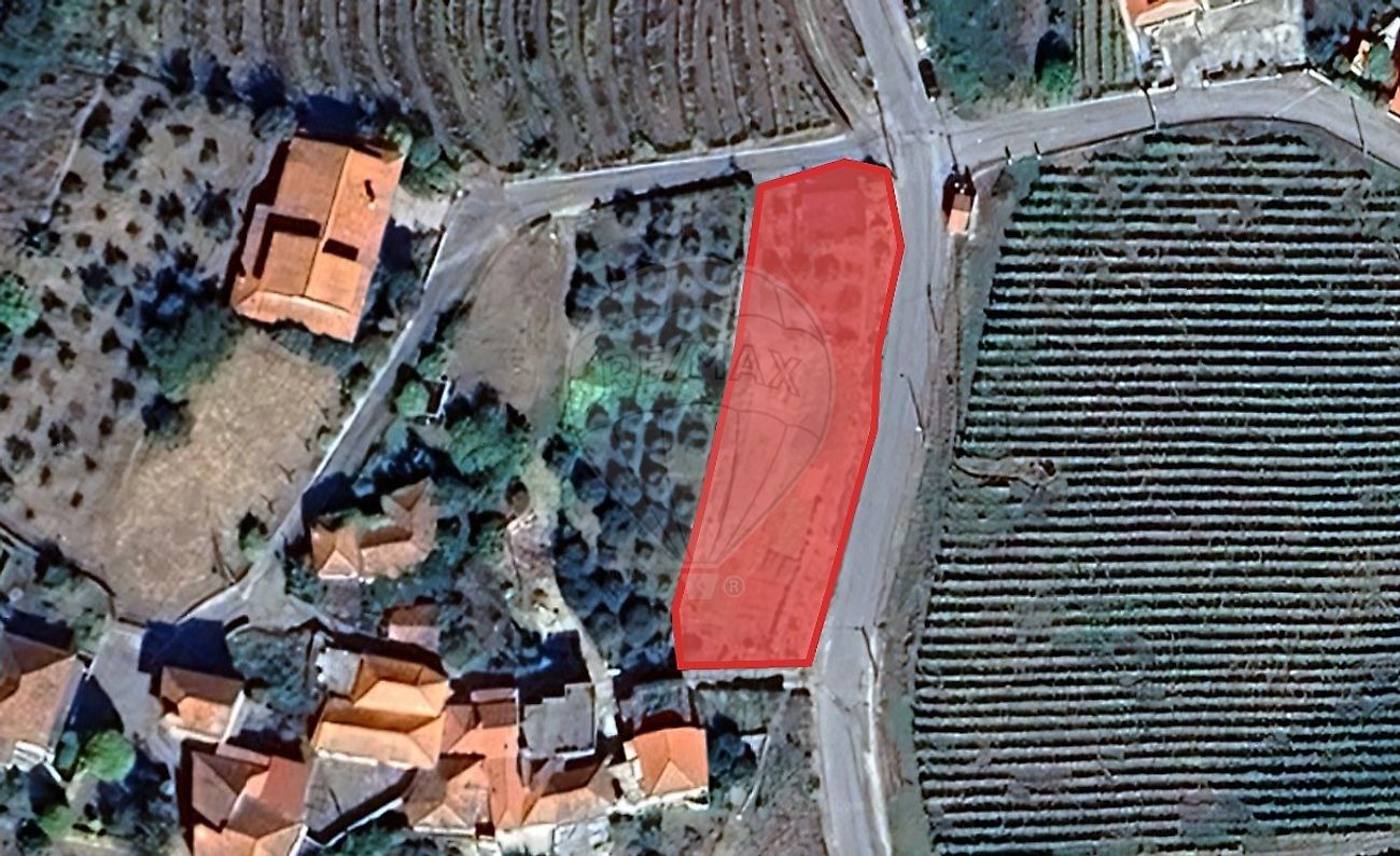 Terreno - Sedielos, Peso da Régua, Vila Real