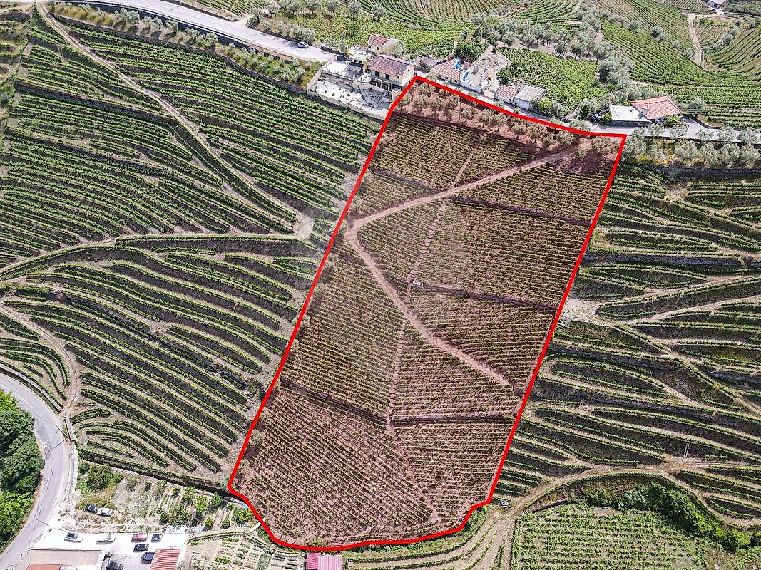 Terreno - Sever, Santa Marta de Penaguião, Vila Real