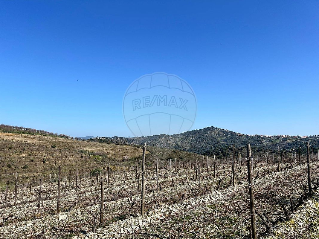 Terreno - Custóias, Vila Nova de Foz Côa, Guarda