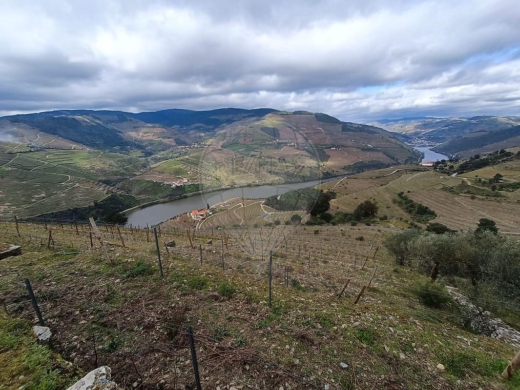 Terreno - Valença do Douro, Tabuaço, Viseu
