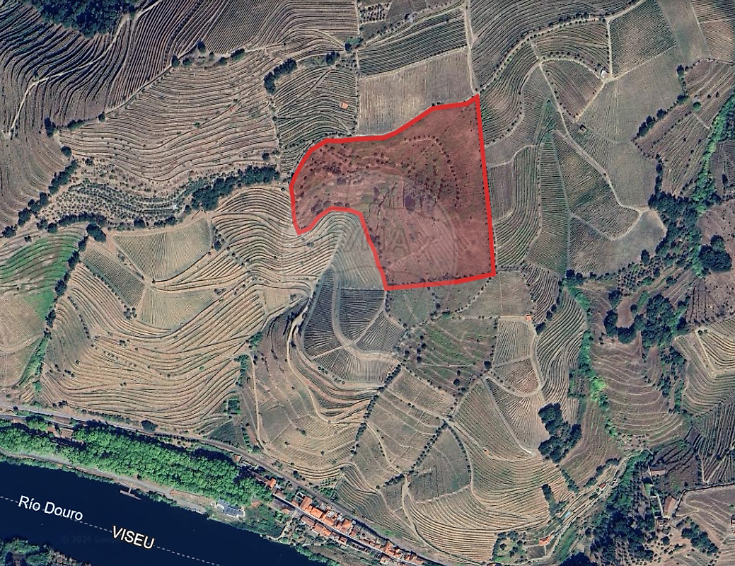 Terreno - Fontelas, Peso da Régua, Vila Real