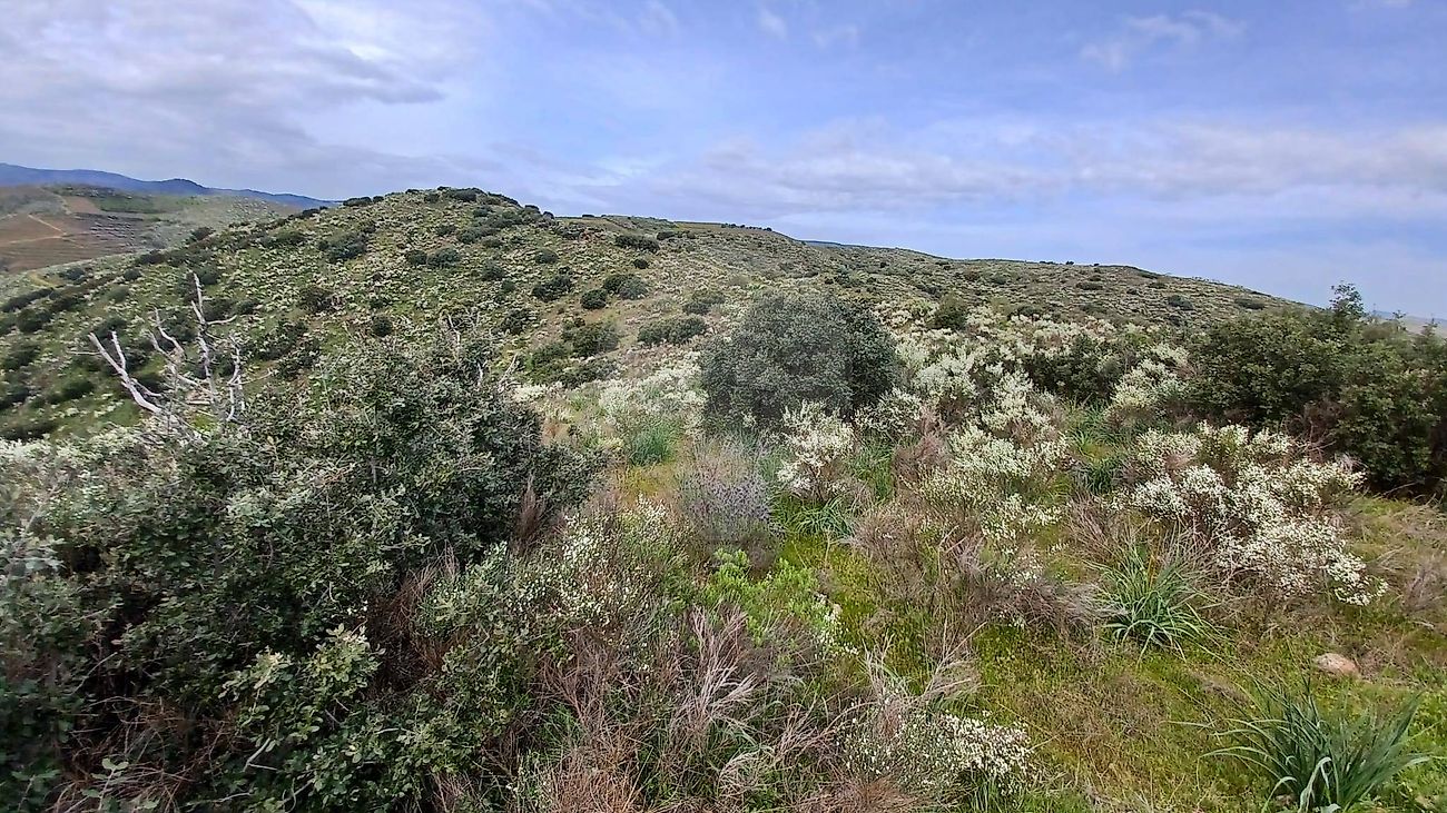 Terreno - Muxagata, Vila Nova de Foz Côa, Guarda