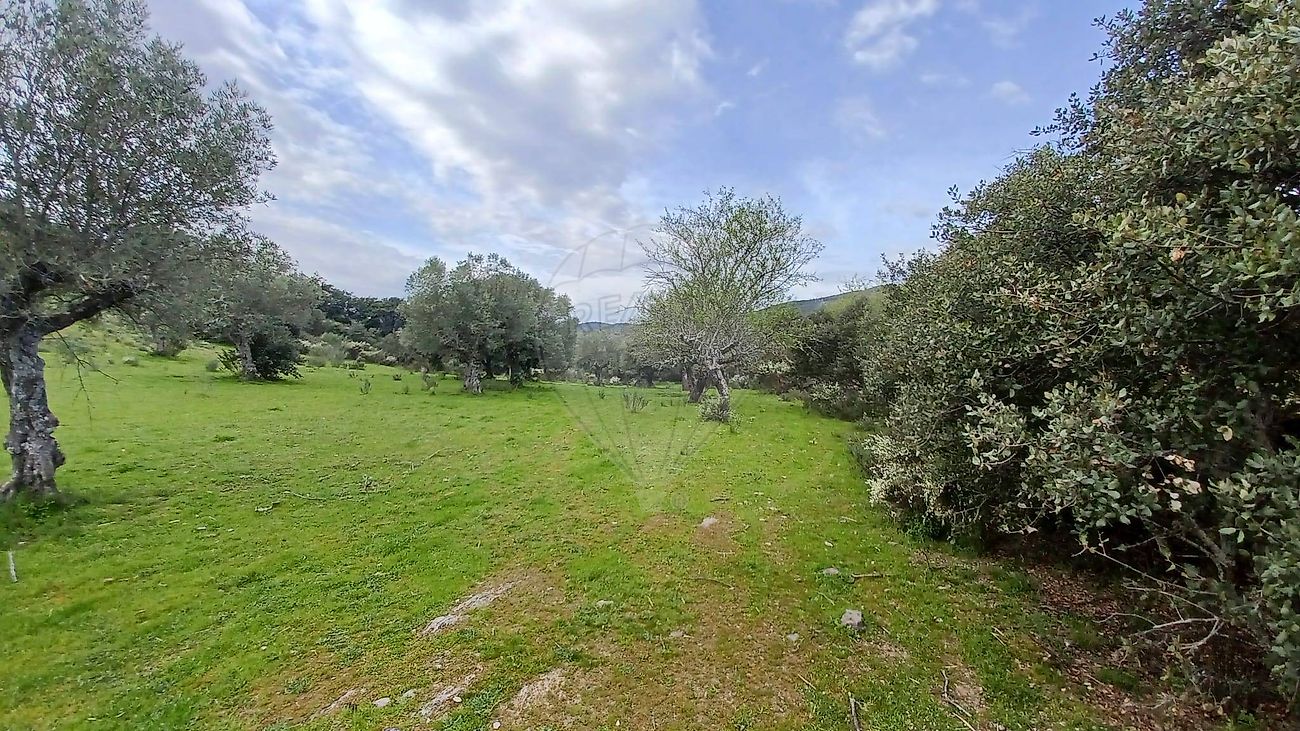 Terreno - Muxagata, Vila Nova de Foz Côa, Guarda