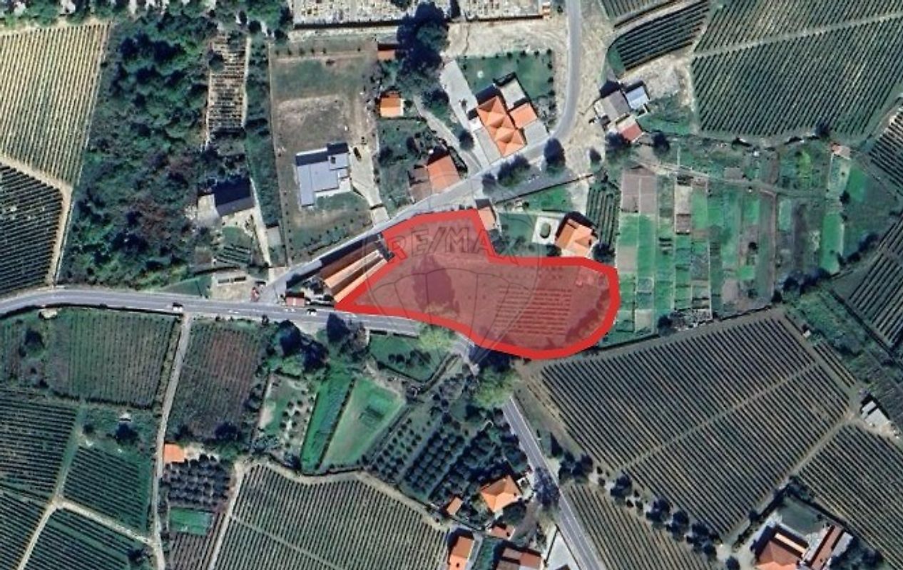Terreno - Favaios, Alijó, Vila Real