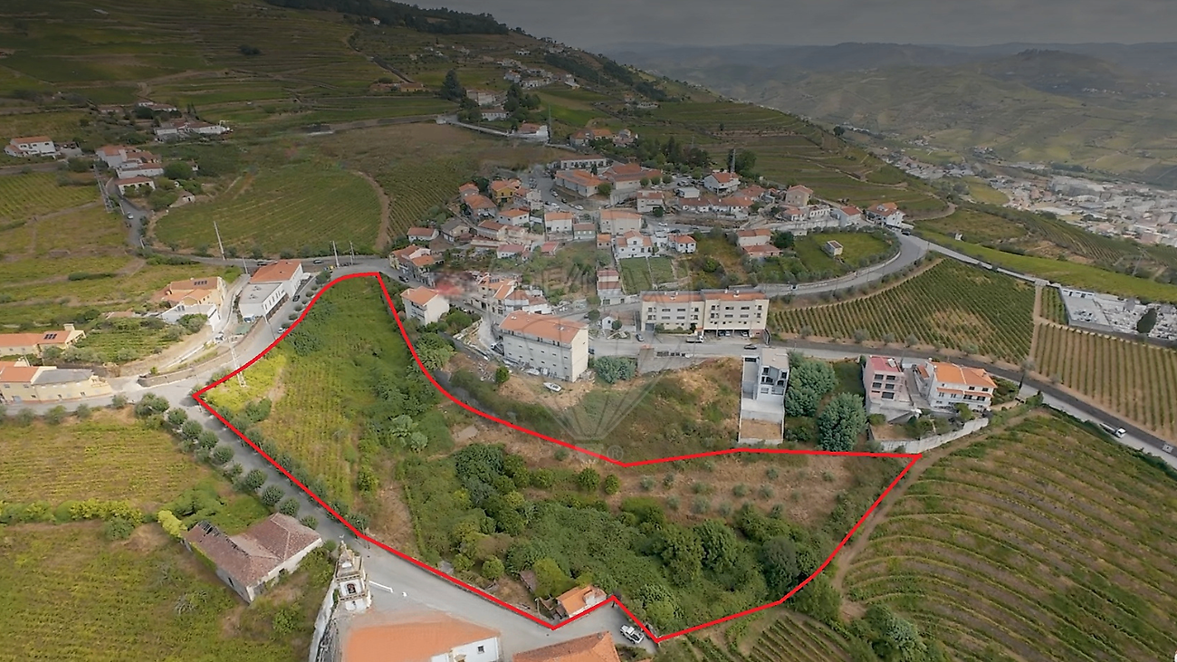 Terreno - Fontelas, Peso da Régua, Vila Real