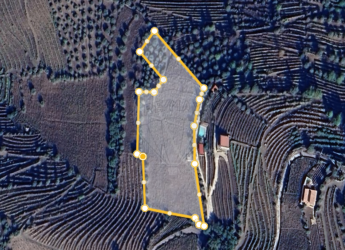 Terreno - Folgosa, Armamar, Viseu