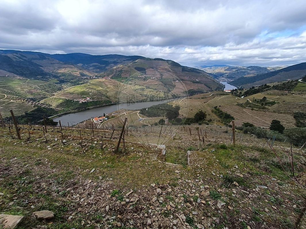 Terreno - Valença do Douro, Tabuaço, Viseu
