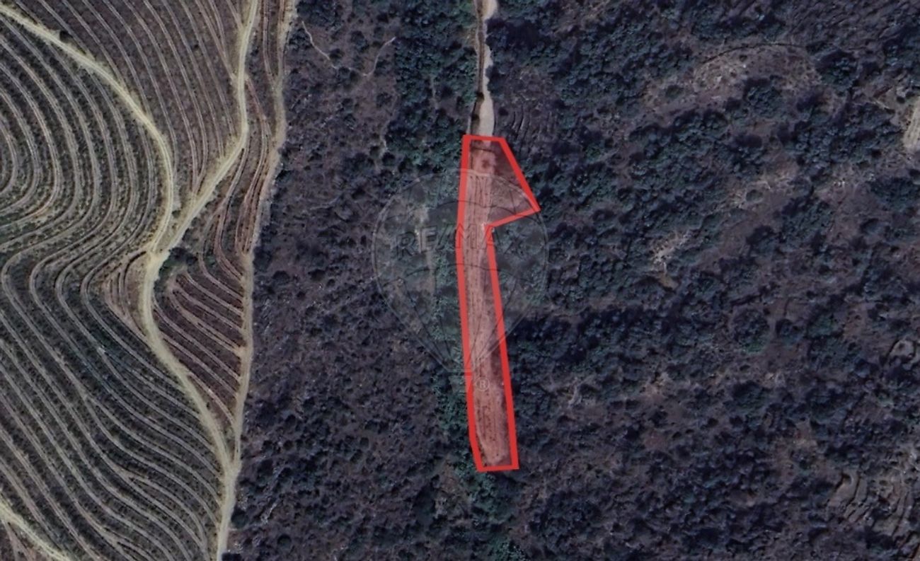 Terreno - Numão, Vila Nova de Foz Côa, Guarda