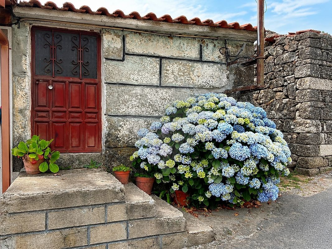 Moradia - Vila Nova de Souto d'El-Rei, Lamego, Viseu