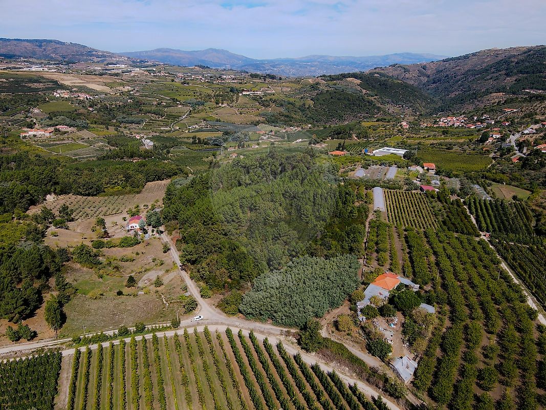 Terreno - Gouviães e Ucanha, Tarouca, Viseu