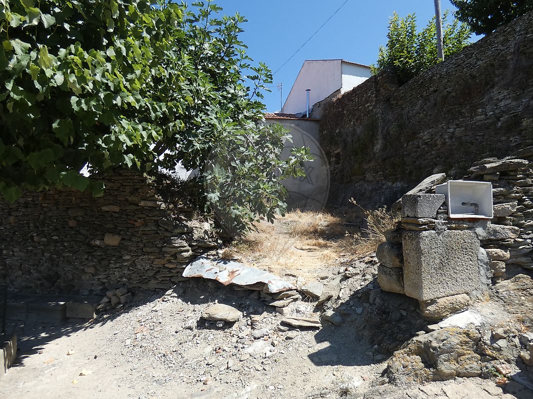 Terreno - Trevões e Espinhosa, São João da Pesqueira, Viseu