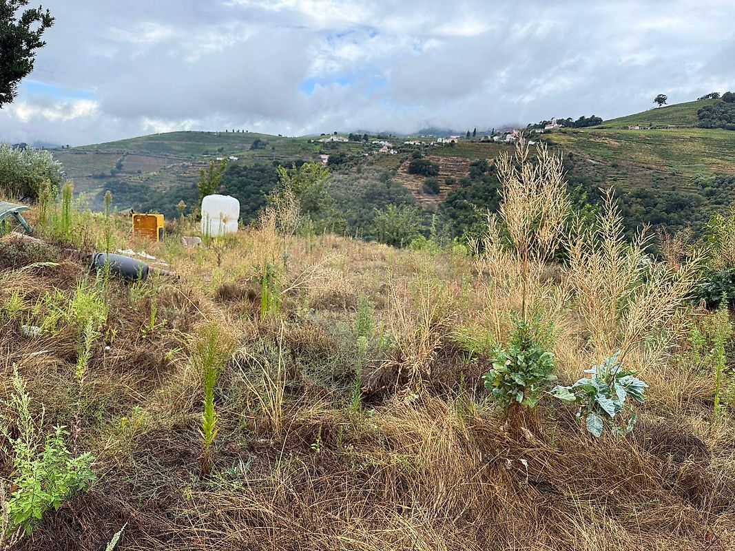 Moradia T3 à venda em Oliveira, Mesão Frio — foto 6