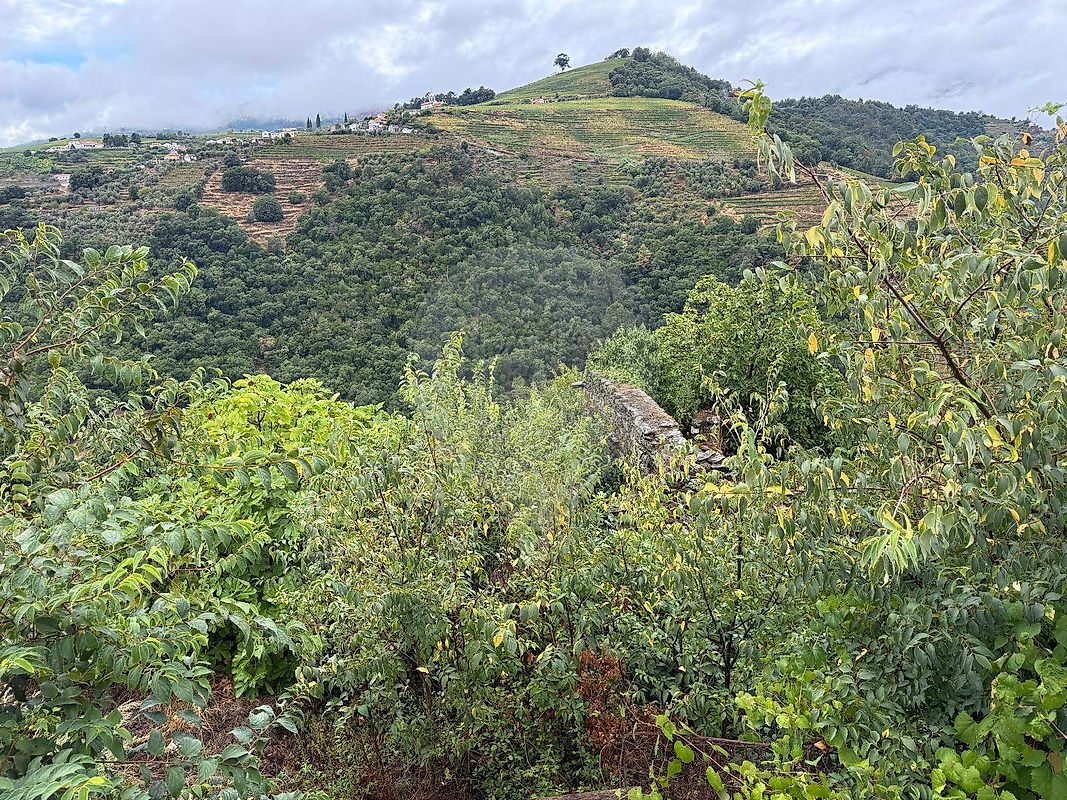 Apartamento T3 à venda em Mesão Frio