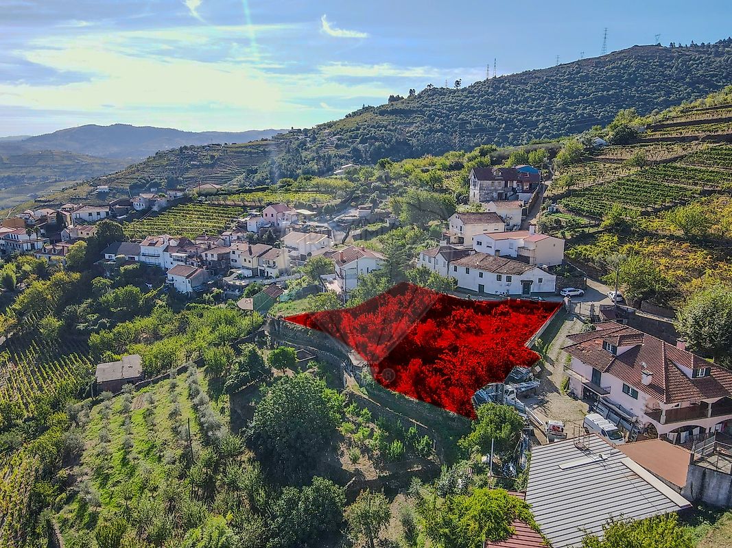 Terreno - Penajóia, Lamego, Viseu