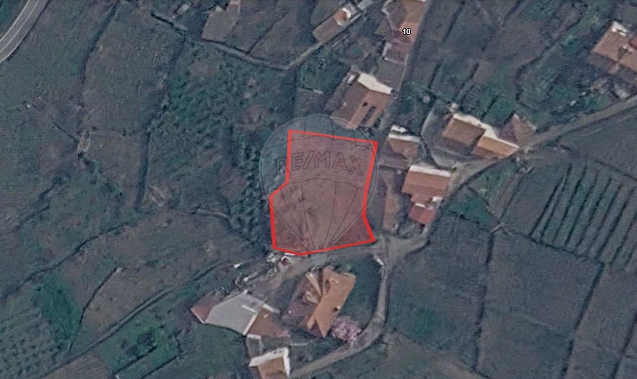 Terreno - Penajóia, Lamego, Viseu