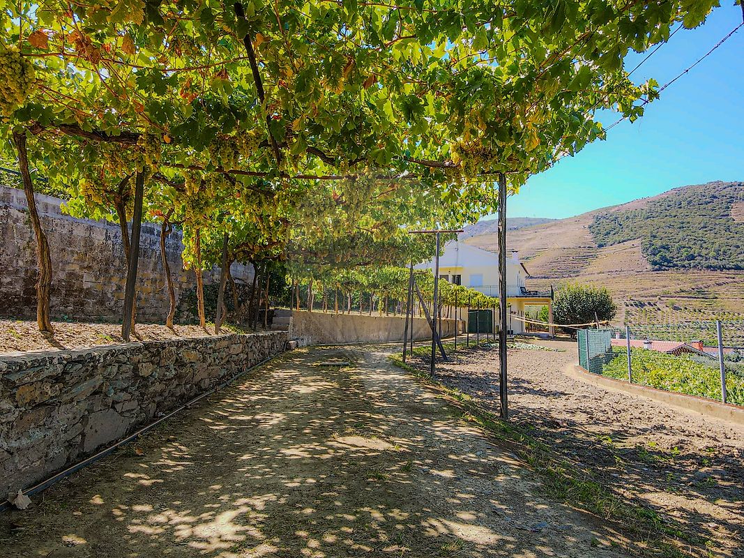 Moradia T4 à venda em Folgosa, Armamar — foto 16