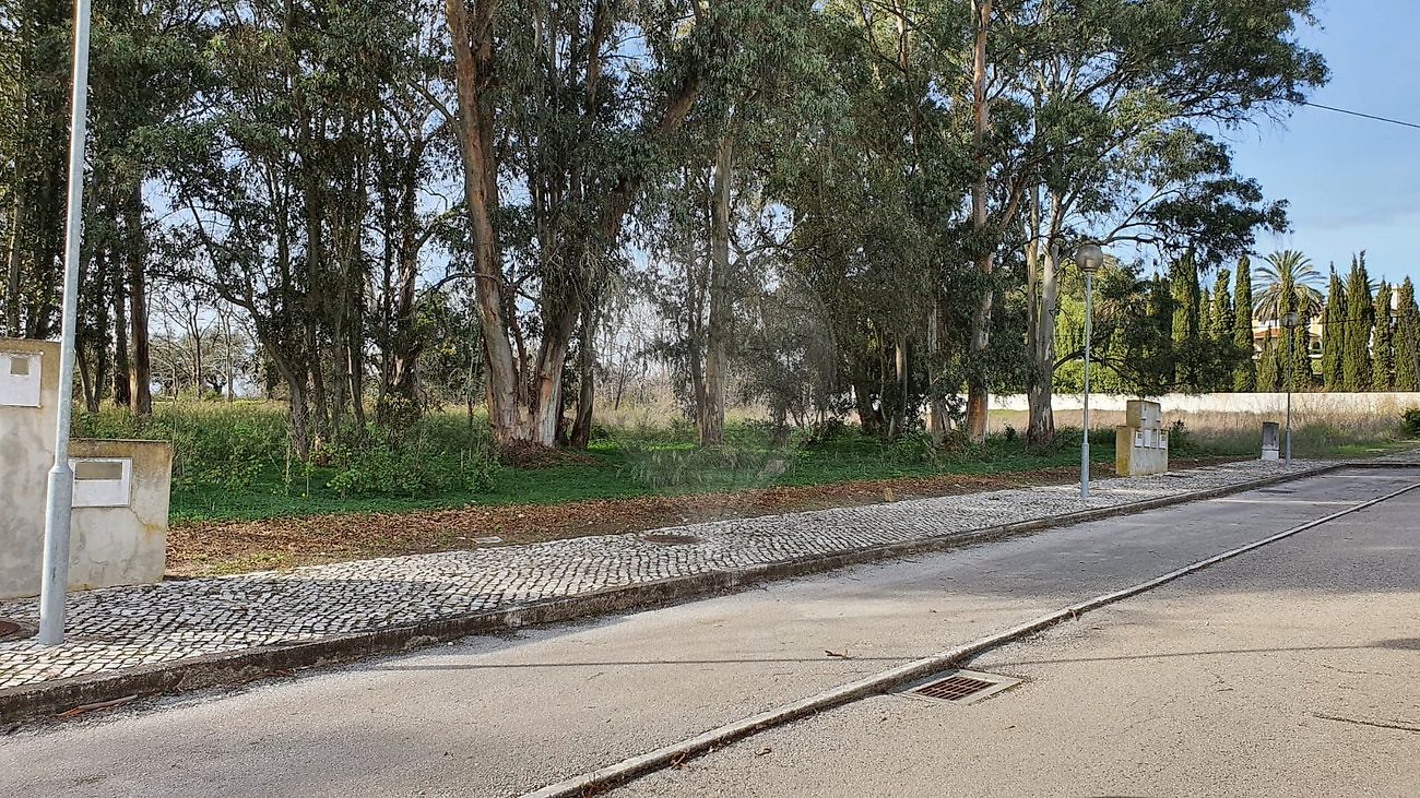 Terreno para venda
