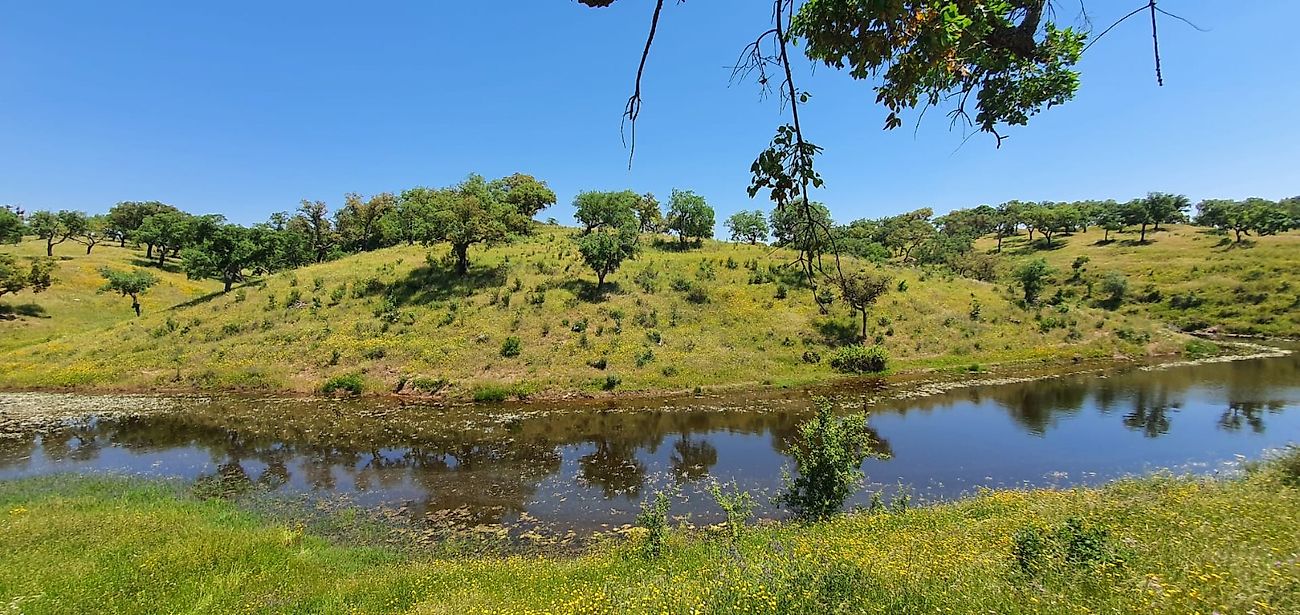 Land for sale in Alcácer do Sal, Portugal — €950,000