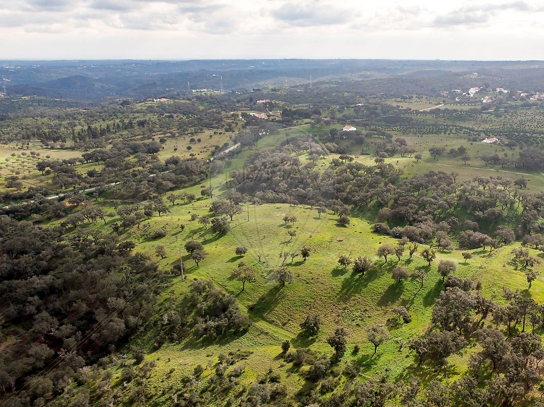 Terreno à venda em Grândola