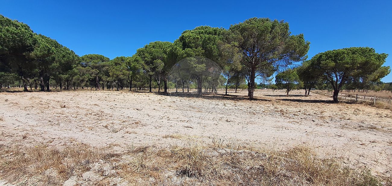Land for sale in Alcácer do Sal, Portugal — €600,000