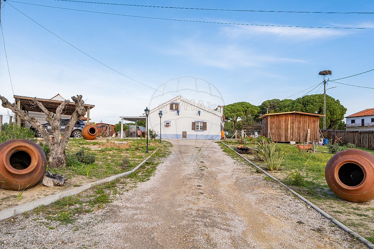 listing-picture-0