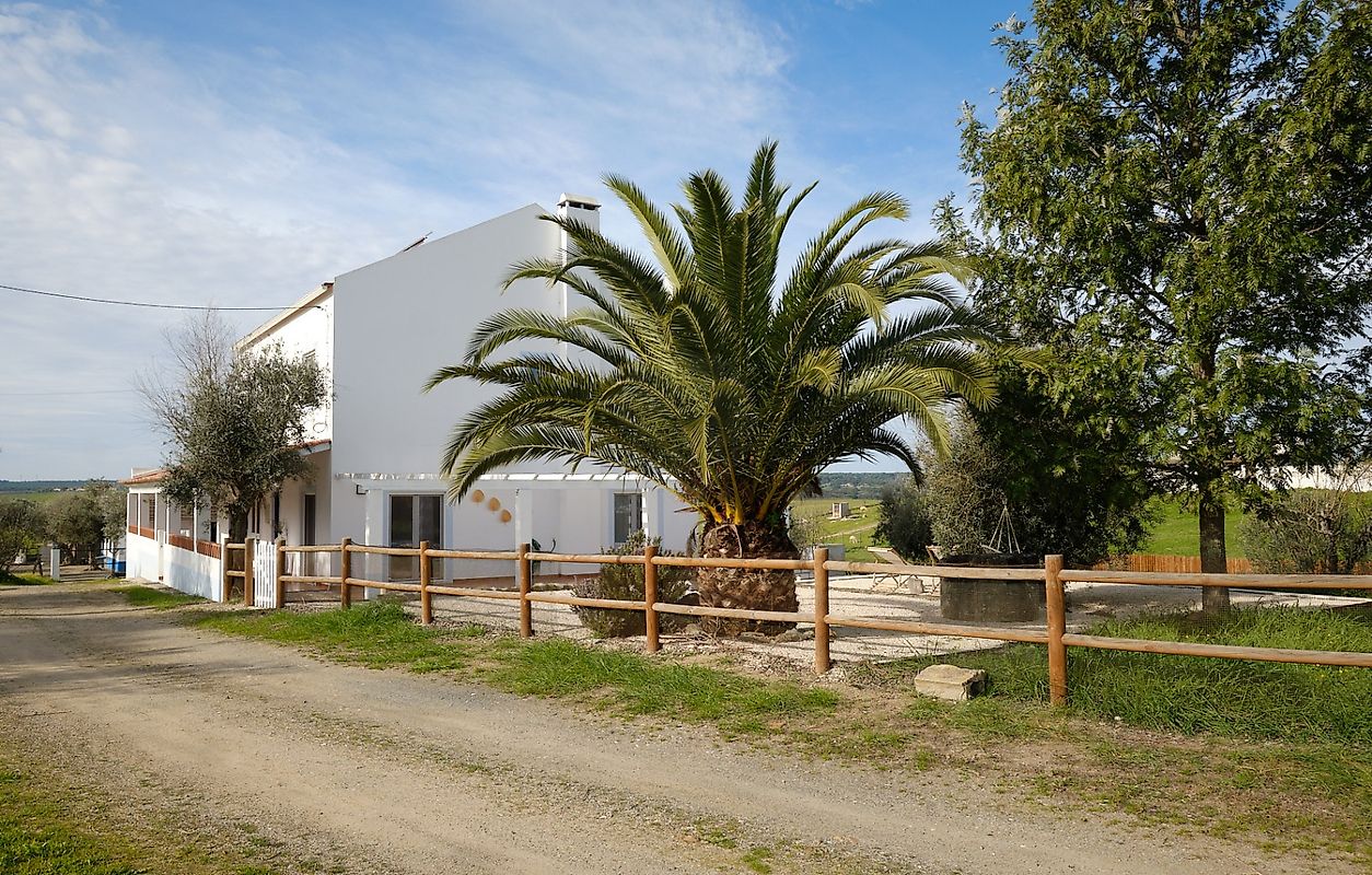 Quinta T7 à venda em Alcácer do Sal