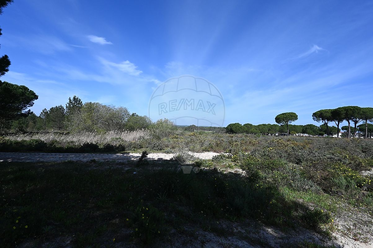 Terreno  à venda em Alcácer do Sal