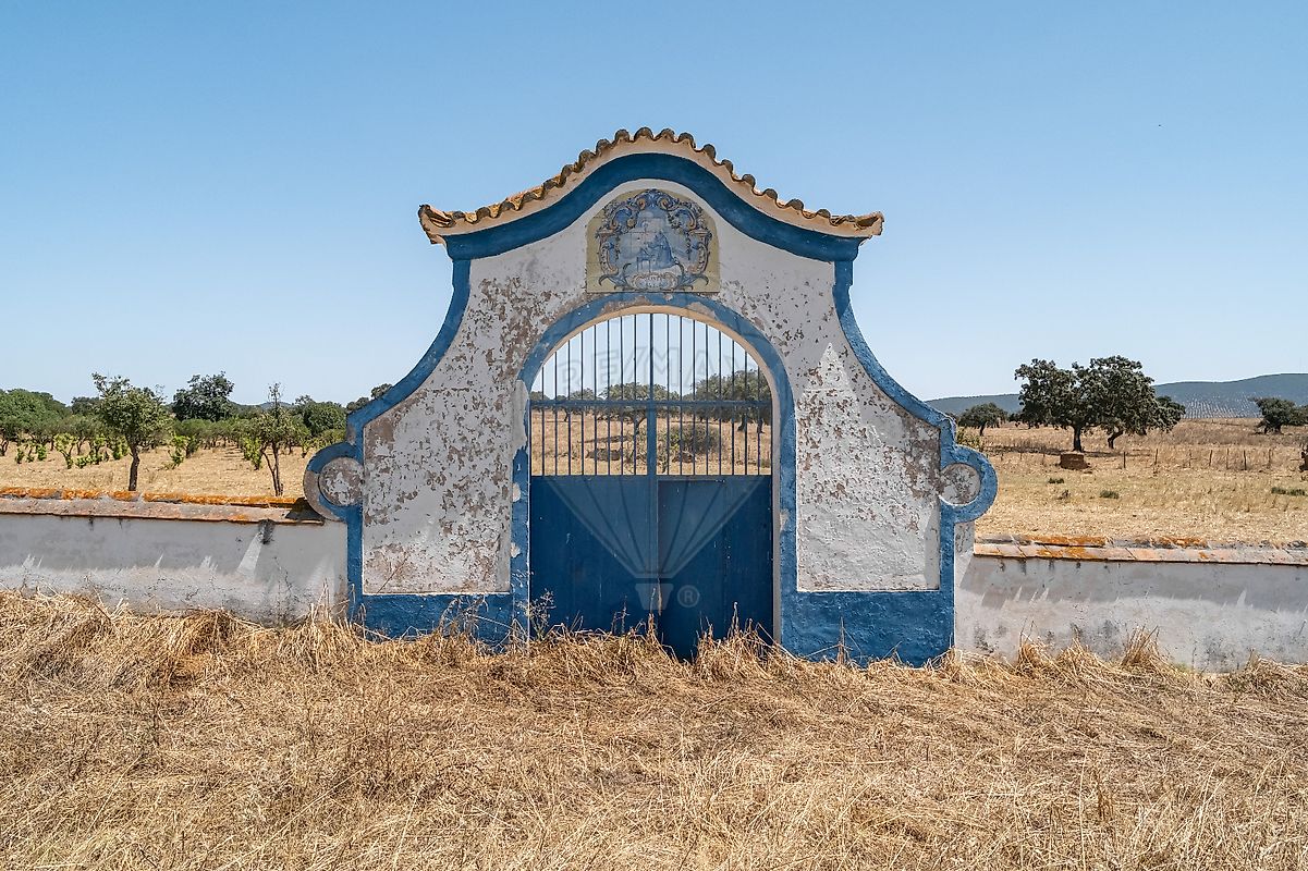 listing-picture-0