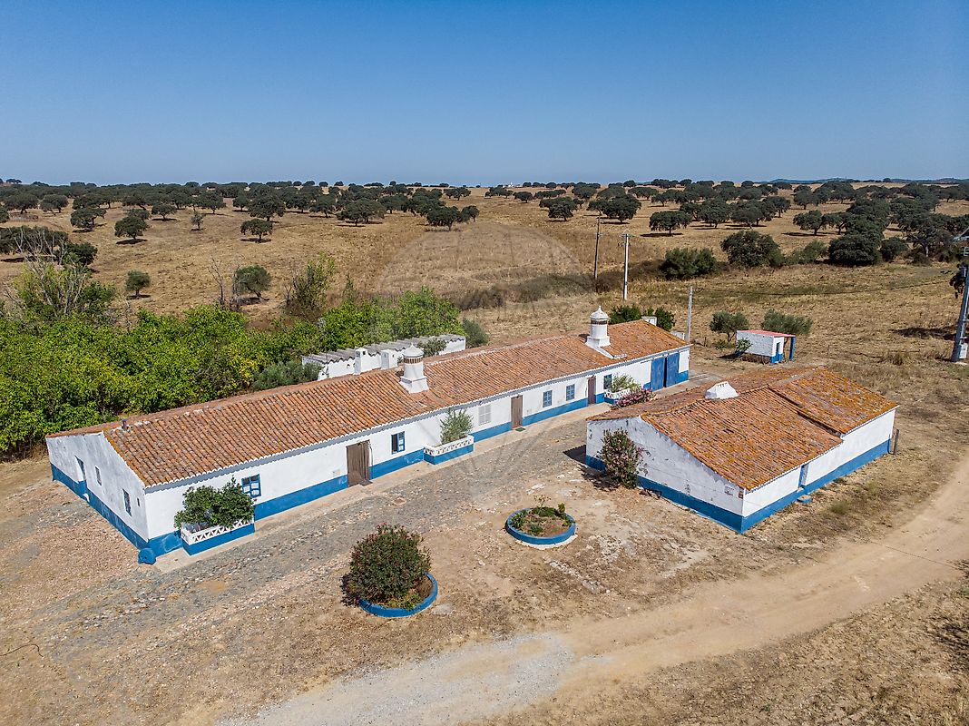 Herdade T6 para venda