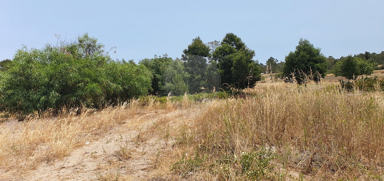 Terreno para venda
