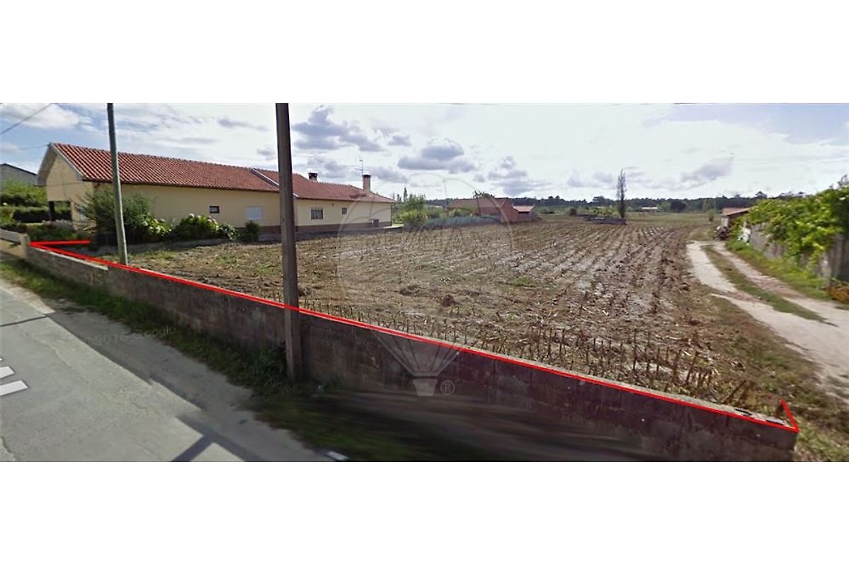 Terreno em Cantanhede