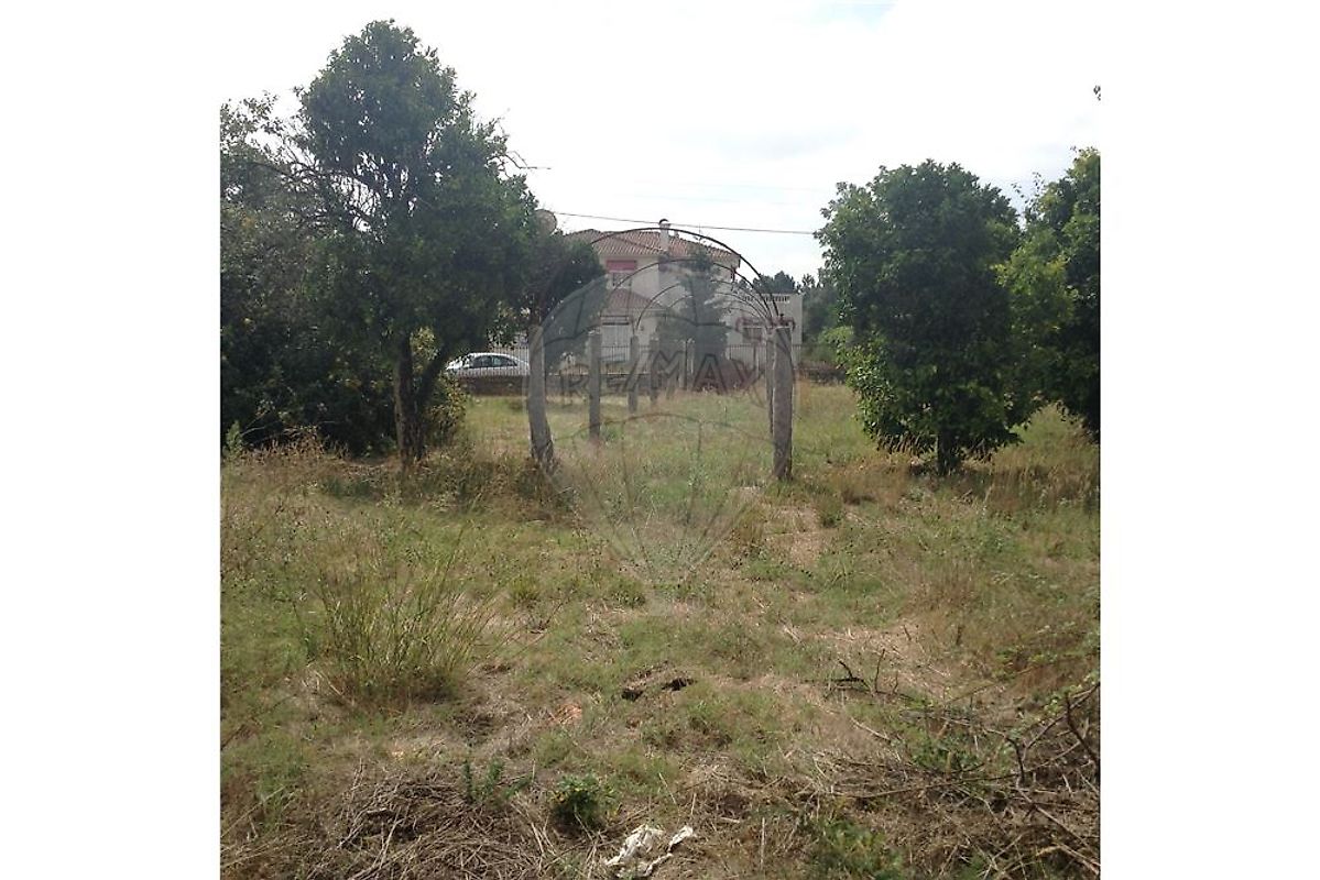 Moradia T3 à venda em Febres, Cantanhede — foto 8