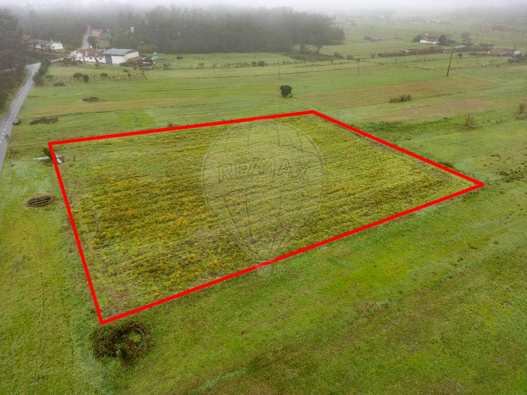 Terreno para venda