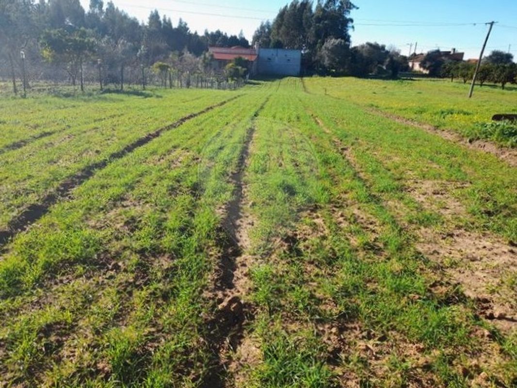 Terreno  para venda