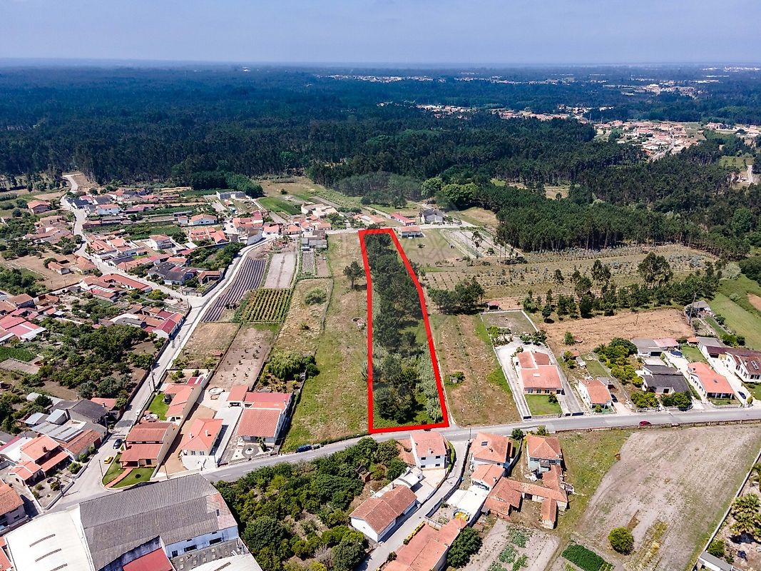 Land for sale in Cantanhede, Portugal — €75,000