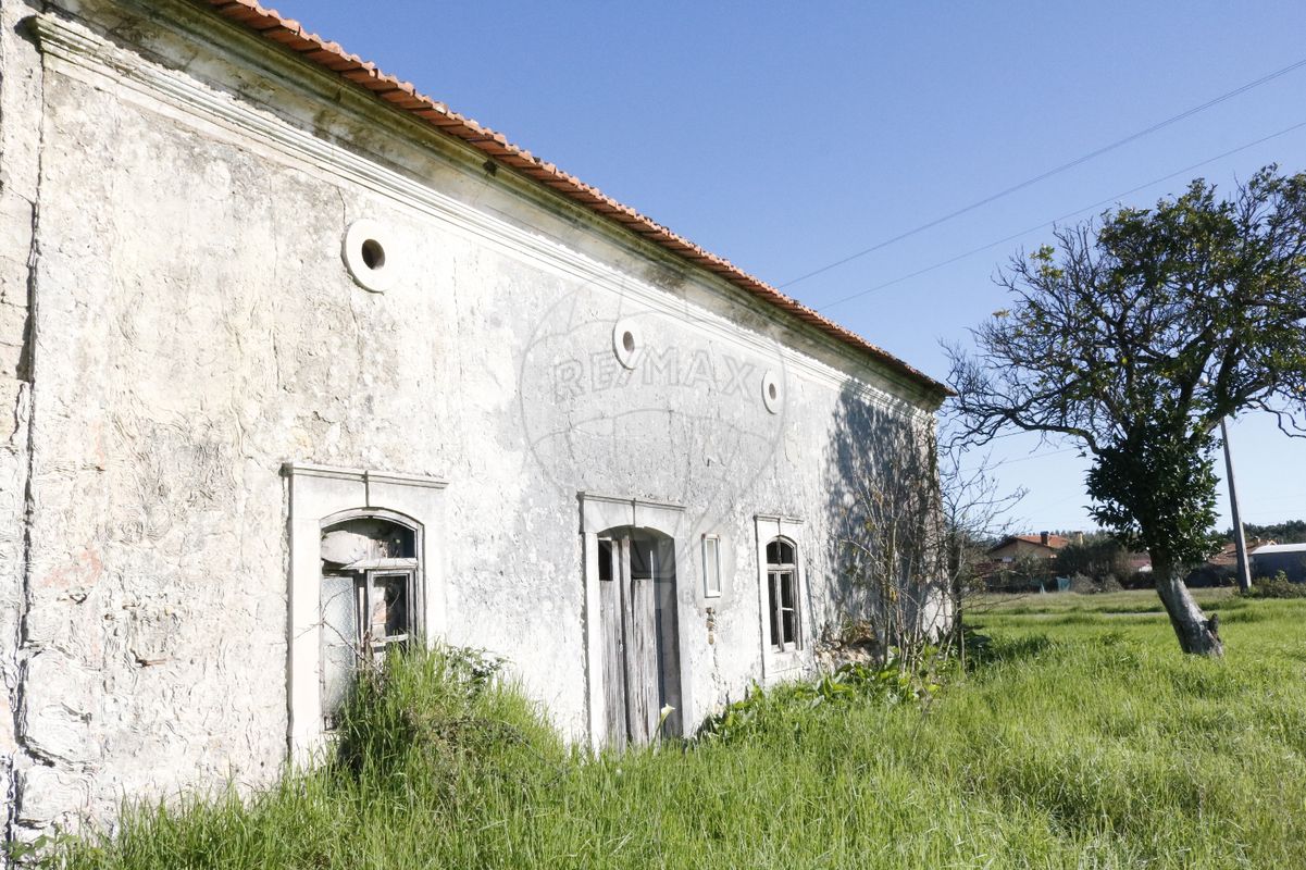 listing-picture-0